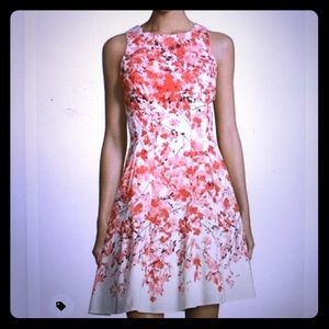 Maggy London Floral print fit & flare dress